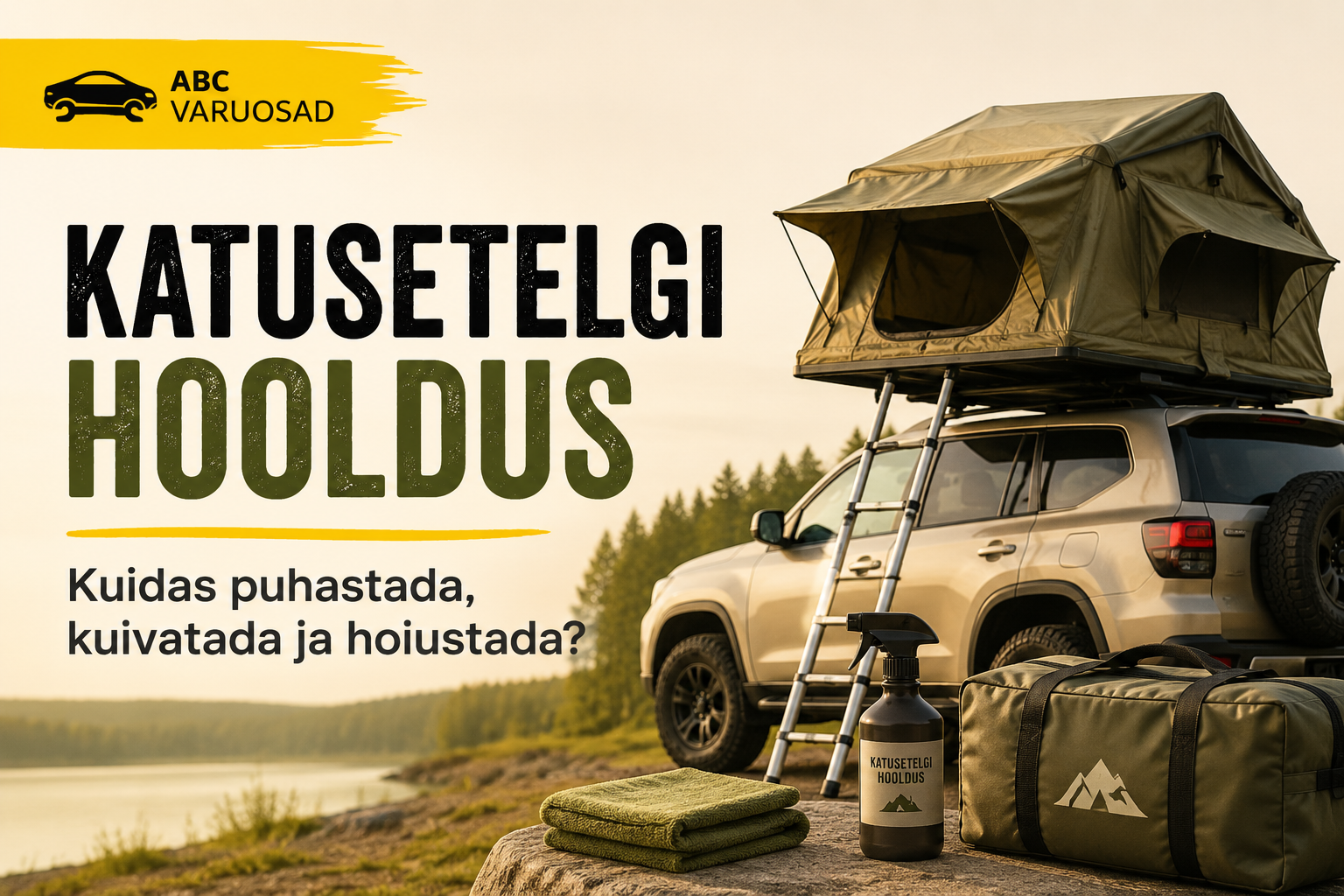 Katusetelk olemas - mis edasi? Kuidas hooldada ja hoiustada?