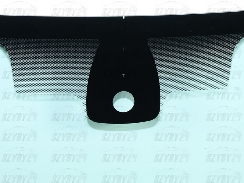 RENAULT CLIO III 06-13 [SENSOR]