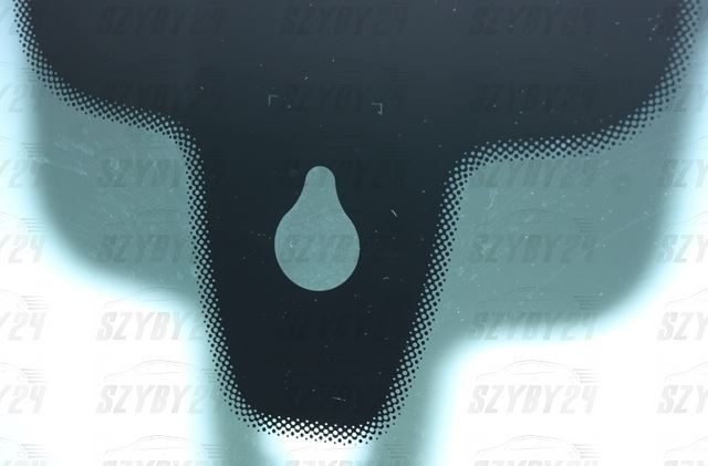 Porsche 911 Coupe (991) 2011- [ANT+GPS+SENS] OEM