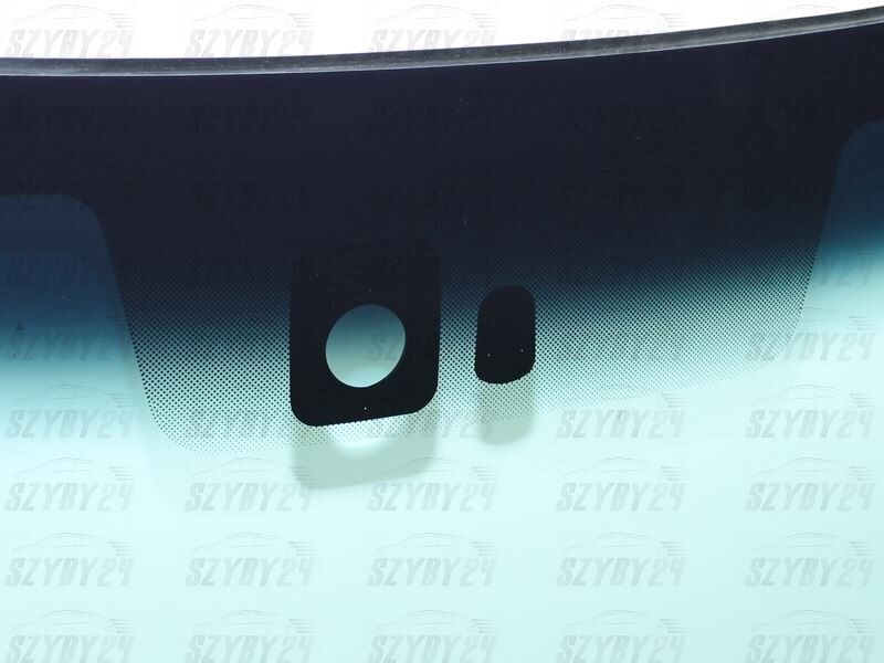 FORD F150 /LOBO (2D/4D Pickup) 2009-2011 [SENSOR]